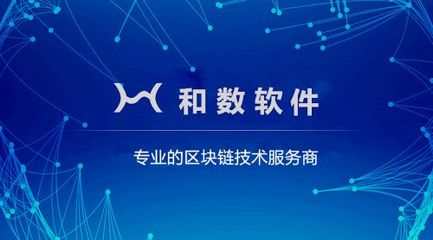 上海和数软件区块链技术定制软件开发系统